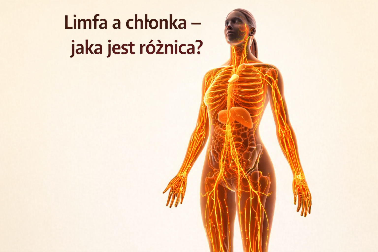 Limfa czy chłonka – jaka to różnica?